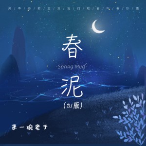 Album 春泥 (DJ版) from 来一碗老于