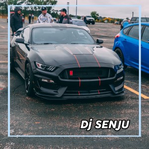 อัลบัม AIYA SUSANTI PEREMPUAN BANYAK MUDA ศิลปิน Dj SENJU