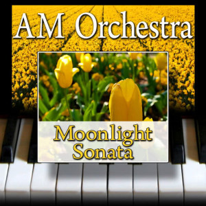 ดาวน์โหลดและฟังเพลง Moonlight Sonata พร้อมเนื้อเพลงจาก AM Orchestra