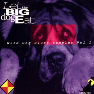 ดาวน์โหลดและฟังเพลง Rock These Blues พร้อมเนื้อเพลงจาก Chicago Bob