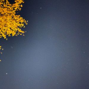 收聽Soltan的Я тебя найду歌詞歌曲