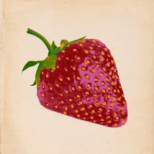 ดาวน์โหลดและฟังเพลง Poison Berry พร้อมเนื้อเพลงจาก Change!