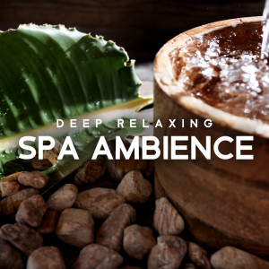 Listen to Tranquility and Contemplation song with lyrics from Spa Musik Sammlung