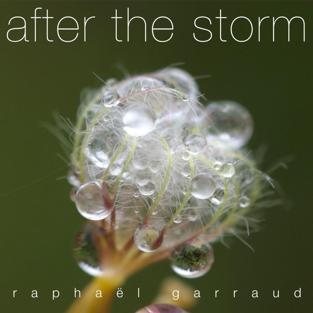 After the Storm