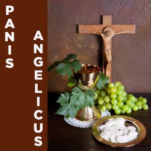 ดาวน์โหลดและฟังเพลง Angels Watching พร้อมเนื้อเพลงจาก Catholic Piano Maestro