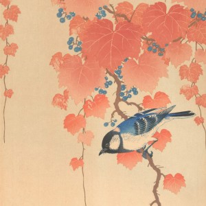 Listen to Bluebird song with lyrics from Soul Dojo