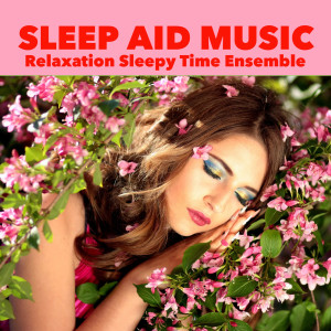 Dengarkan Sleepy Time lagu dari Relaxation Sleepy Time Ensemble dengan lirik
