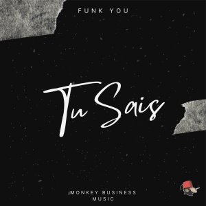 Listen to Tu sais song with lyrics from Tedx