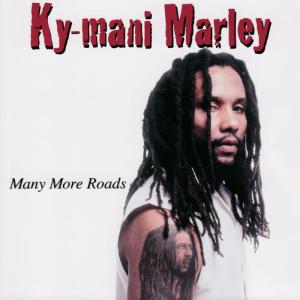 收聽Ky-mani Marley的Who We Are歌詞歌曲