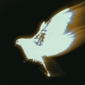 default album img