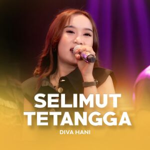 Diva Hani的专辑Selimut Tetangga