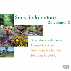 ดาวน์โหลดและฟังเพลง Anochecer En La Pradera พร้อมเนื้อเพลงจาก Natural Sound