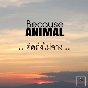 Album คิดถึงไม่จาง from Because Animal
