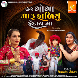 Listen to Joje Goga Maru Fadiyu Fendaina song with lyrics from Shilpaben Rabari