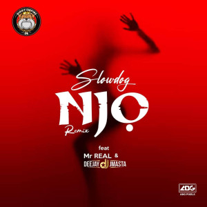Listen to Njo (Remix) song with lyrics from Slowdog