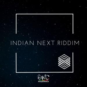 Various Artists的專輯Indian Next Riddim (Explicit)