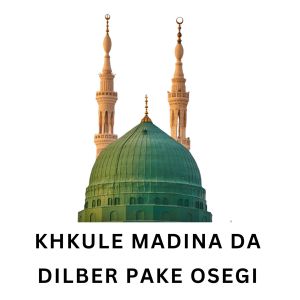 Album Khkule Madina Da Dilber Pake Osegi from 
