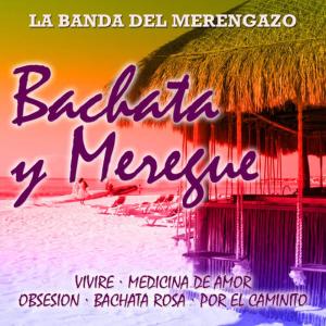 La Banda Del Caribe的專輯Bachata Y Meregue