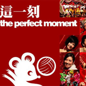 Album The Perfect Moment from Various Artist