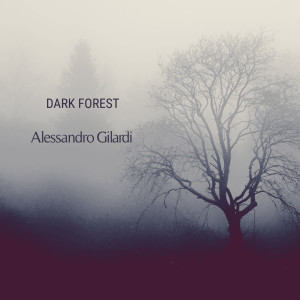 Listen to Dark Forest (Nocturne No. 9) song with lyrics from Alessandro Gilardi