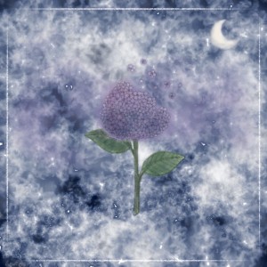 Album night hydrangea (feat. Fei_ & BATY) [Remix] from Aero S