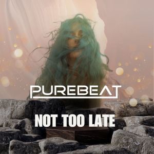 Purebeat的專輯Not Too Late