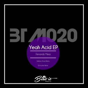 Dengarkan lagu Yeah Acid (Dj Fronter Remix) nyanyian Fernando Mesa dengan lirik