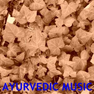 Listen to Ayurvedic Music song with lyrics from Robert Williams