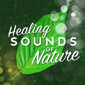 Sleep Music with Nature Sounds Relaxation的專輯Healing Sounds of Nature