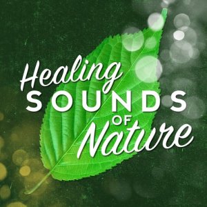 Healing Sounds of Nature