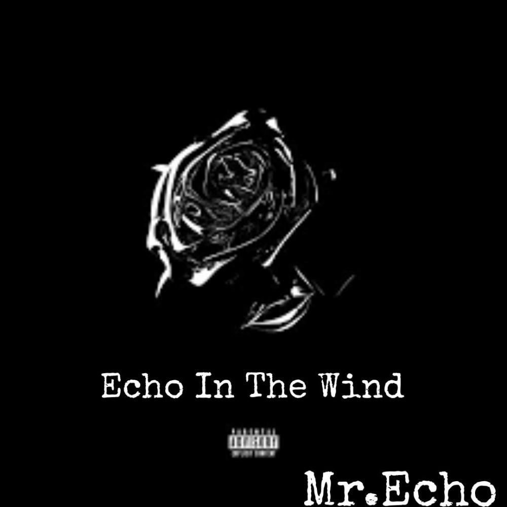 Echo Of The Wind (Instrumental Intermission 2nd Vers)