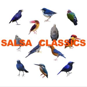 ดาวน์โหลดและฟังเพลง La Chica Mamey พร้อมเนื้อเพลงจาก Orquesta Ritmo Oriental
