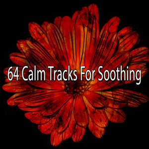ดาวน์โหลดและฟังเพลง Thirst for Wisdom พร้อมเนื้อเพลงจาก Meditation Zen Master