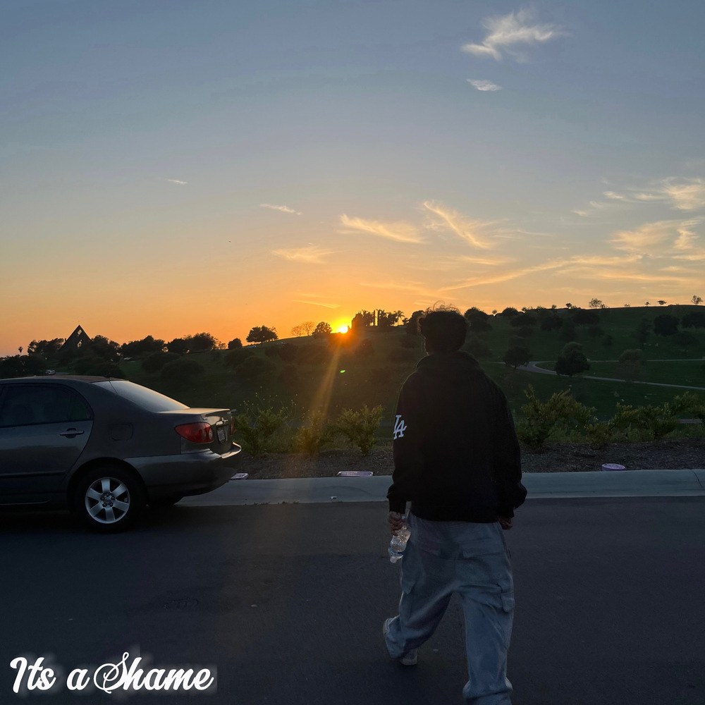 Its A Shame (Explicit)