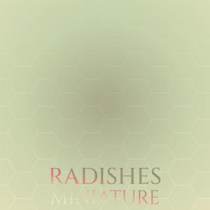 Album Radishes Miniature from Various