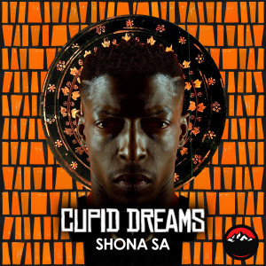 Listen to Nguva song with lyrics from Shona SA