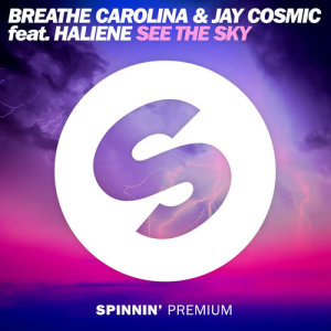 收聽Breathe Carolina的See The Sky (feat. HALIENE)歌詞歌曲