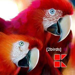 Listen to 2BIRDS (Extended Mix) song with lyrics from HEIN+KLEIN