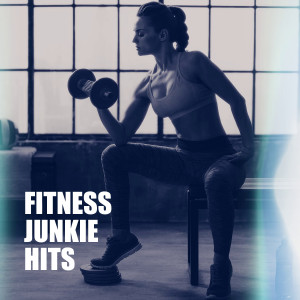 Various Artists的專輯Fitness Junkie Hits