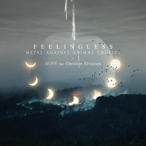 Feelingless的專輯Hope