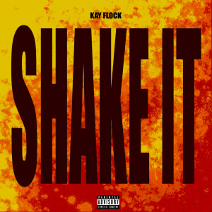 Kay Flock的專輯Shake It (Instrumental)