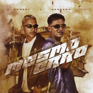Album MESMO ERRO (Explicit) from DJ Borest