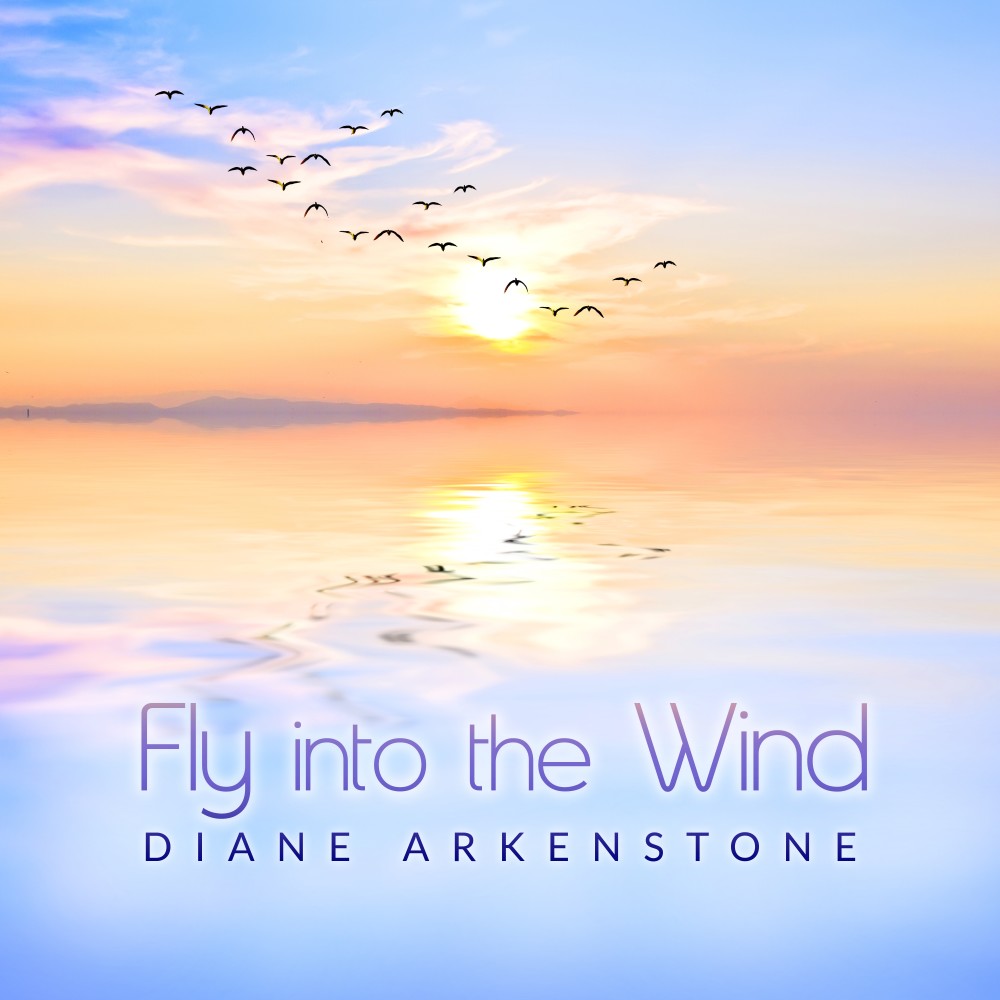 Fly into the Wind