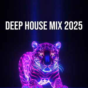 Album Deep House Mix 2025 (Explicit) oleh Mister Mijaga