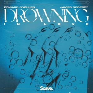 ดาวน์โหลดและฟังเพลง Drowning in Love พร้อมเนื้อเพลงจาก Edward Snellen