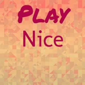 อัลบัม Play Nice ศิลปิน Various Artists