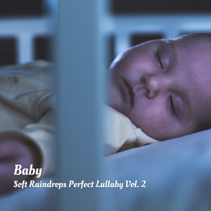Baby: Soft Raindrops Perfect Lullaby Vol. 2