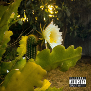 Punktuation的專輯2024 (Freestyle) [Explicit]