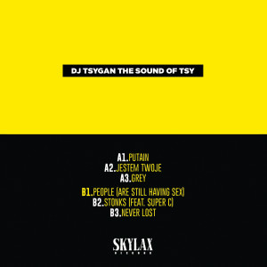 收聽Dj Tsygan的Stonks歌詞歌曲