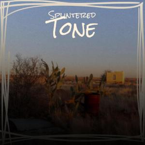 Dengarkan lagu Splintered Tone nyanyian Idan Spes dengan lirik